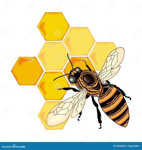 Color bee vector stock vector. Illustration of wasp, food - 4490635