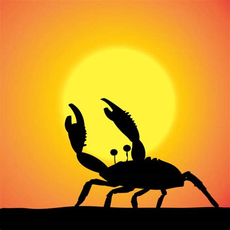 Royalty Free Sand Crab Clip Art Vector Images And Illustrations Istock