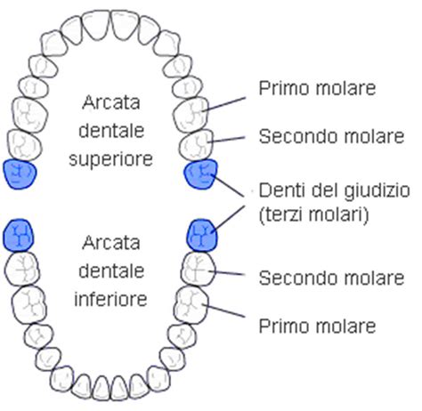 Denti Del Giudizio Quanti Sono Quando Toglierli E Costi Per L Estrazione