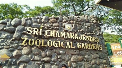 Mysore Zoo: Everything You Need To Know