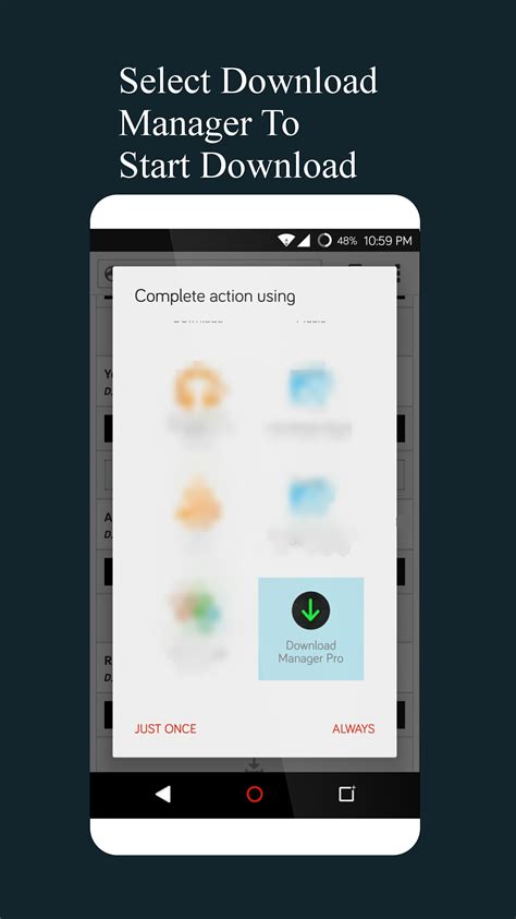 internet  manager pro idm