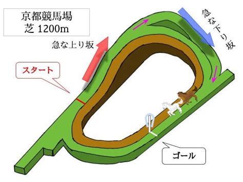 京都競馬場の特徴｜全コースを初心者向けに徹底解説！枠順坂騎手の傾向は？