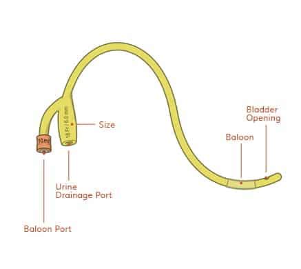 Foley Catheters | StayDry Incontinence and Urology