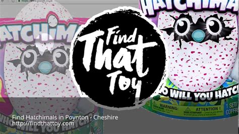 Find Hatchimal Draggles Purple Green Egg Pengualas Pink Teal Poynton Cheshire Youtube