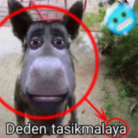 deden cute jokes jokes pics funny profile pictures reaction pictures