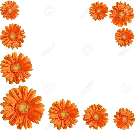 Gerber Daisy Clipart Free Download On Clipartmag