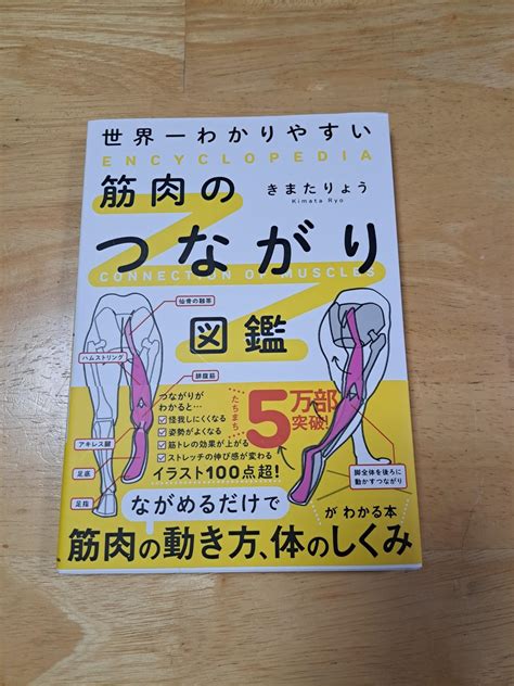 世界一わかりやすい 筋肉のつながり図鑑 きまた りょう 本 通販 Amazon