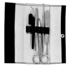 Dissecting Kit Containing 6 Instruments Raiz Sajjad Surgical Pvt Ltd