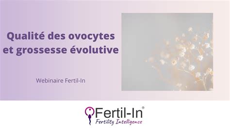 Webinaire Les Ovocytes Un L Ment D Terminant Pour Une Grossesse