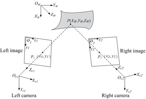 Principle Of Binocular Stereo Vision Download Scientific Diagram