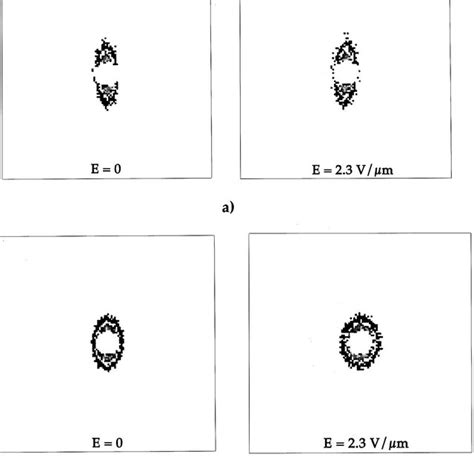 ͑ Color Online ͒ Optical Microscopy Pictures Between Crossed Polarizers