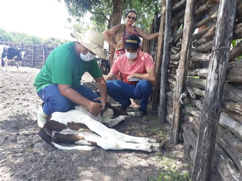 Portal Do Rurik Not Cias De Buriti Dos Lopes Parna Ba Cocal Cocal