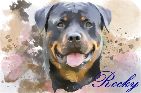 Dog Rottweiler Pet Free Photo On Pixabay Pixabay