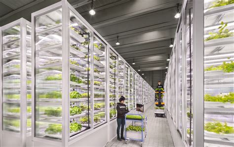 Berlin Based Urban Farming Startup Infarm Announces Japan Expansion