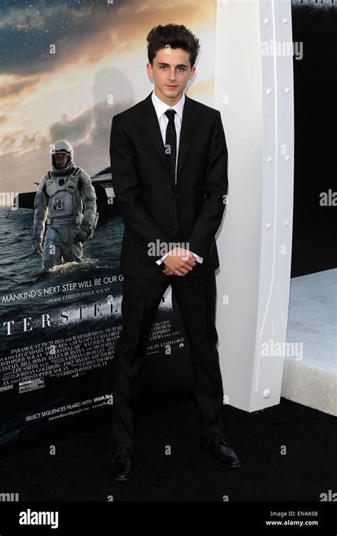 Interstellar Timothee Chalamet High Resolution Stock Photography And