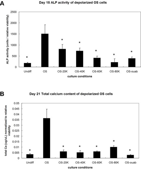 A ALP Activity Decreased During OS Differentiation In Cells Treated