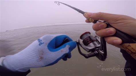 Fishing For Redtail Surf Perch Oregon Coast Youtube