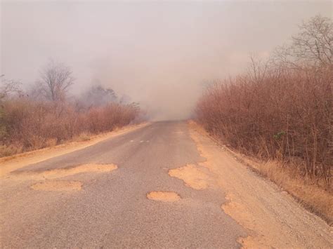 Brigadistas Combatem Inc Ndio Na Zona Rural De Curimat No Sul Do