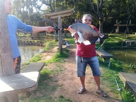 Pesca Esportiva Em Guarulhos Pesque E Pague Em Sp Fazenda De Pesca