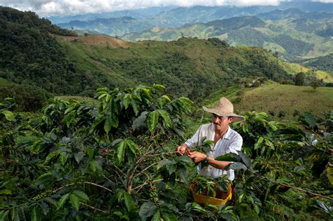 Say yes to sustainable coffee | epicure Magazine