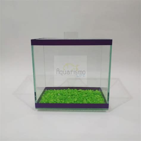 Beteira Aquário Para Peixes Betta 15cm Decorada Shopee Brasil