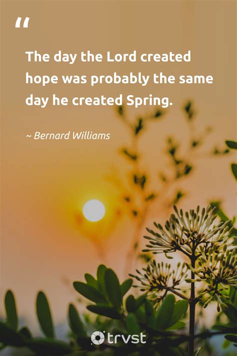spring quotes  sayings celebrating  beginnings