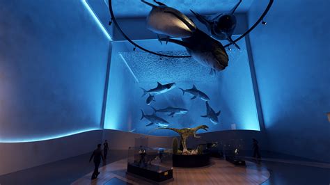 Aquarium museum :: Behance