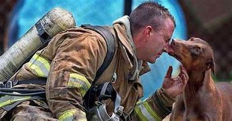 18 Photos Of Firefighters Saving Animals That Will Warm Your Heart