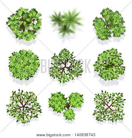 Trees Top View Vector Vector & Photo (Free Trial) | Bigstock