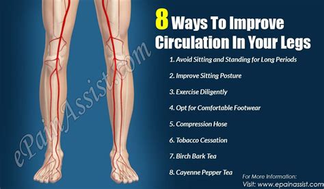 What Causes Poor Circulation In Legs Todalaactualidadmotor