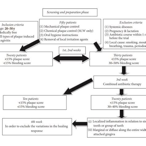 Scheme represents the procedure steps. | Download Scientific Diagram