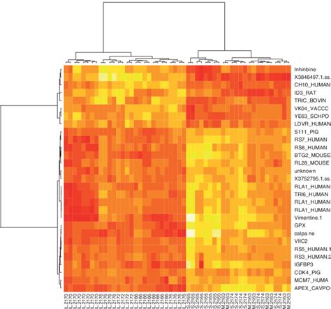 Heat Map Display Of Unsupervised Hierarchical Clustering Results Ward