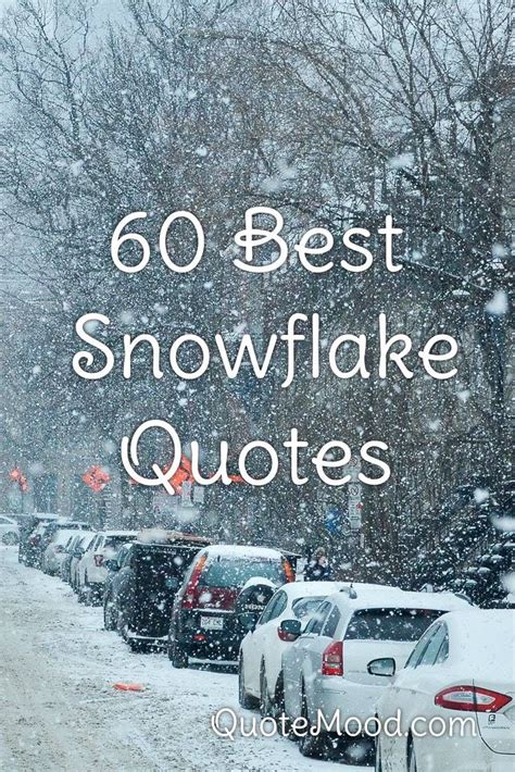 60 Most Inspiring Snowflake Quotes In 2020 Snowflake Quote Quotes