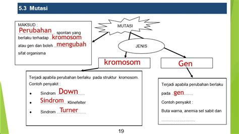 Sains Kssm Tingkatan 4 Bab 5 Genetik Nota Berpandu Youtube