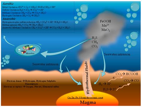 Hydrothermal Vent Diagram