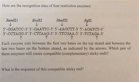 Solved Here Are The Recognition Sites Of Four Restriction