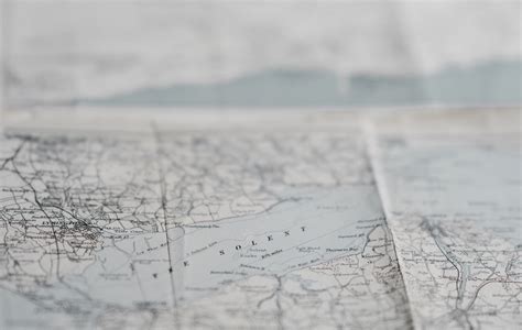 animal transportation international 12