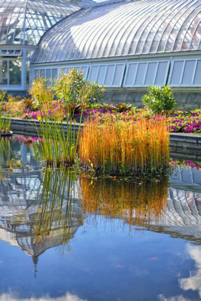 long pond  stock  pictures royalty  images istock