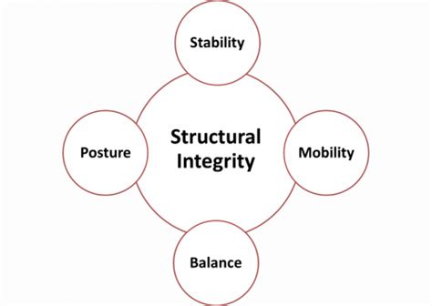 Structural Integrity Building The Foundation For Youth Athletes