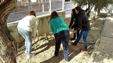 Nuestro Jardín y Huerto Escolar AMPLIACIÓN DEL HUERTO