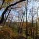 Hiking Trail at Effigy Mounds, Iowa image - Free stock photo - Public ...