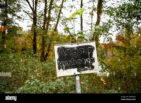 26 Oktober 2021 Brandenburg Schönwalde Angeln verboten Der Fisch