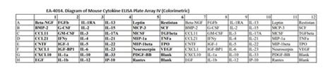 Mouse Cytokine ELISA Plate Array IV (Colorimetric) | Signosis