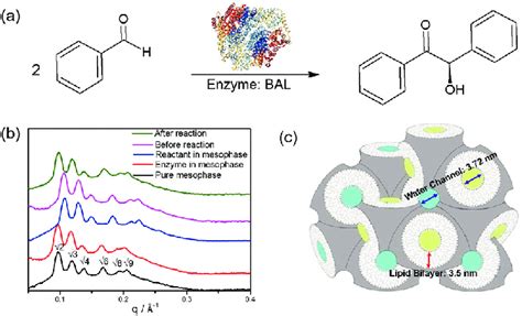 A Formation Of Chiral R Benzoin From Benzaldehyde Catalyzed By The