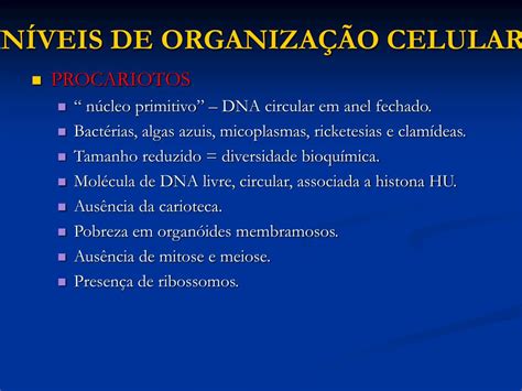 PPT - NÍVEIS DE ORGANIZAÇÃO CELULAR PowerPoint Presentation, free ...