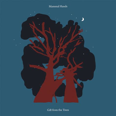 Mammal Hands Gift From The Trees Reviews Clash Magazine Music