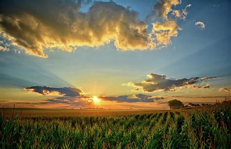 Iowa Summer Corn Fields Photograph by Bonfire Photography - Fine Art ...