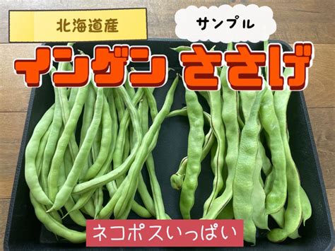 インゲン つるありインゲン ささげ ささげ豆 北海道 野菜 サラダ【10】 By メルカリ