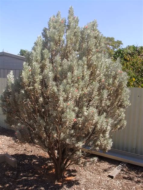 The Call & Times: Local News, Events, and Community Updates 34