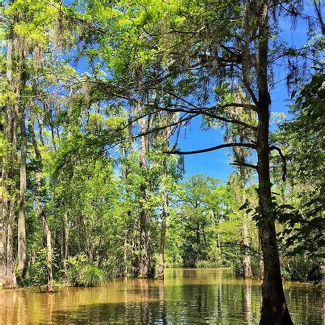 Images Cajun Encounters Tour Company New Orleans